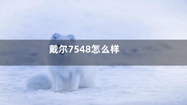 戴尔7548怎么样