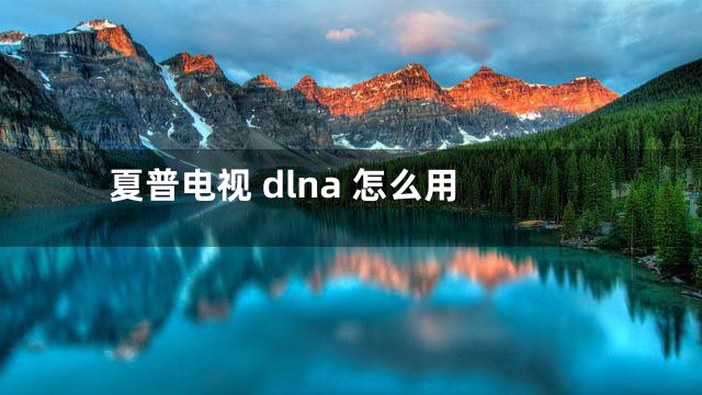 夏普电视 dlna 怎么用