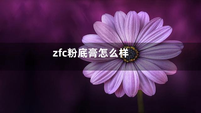 zfc粉底膏怎么样