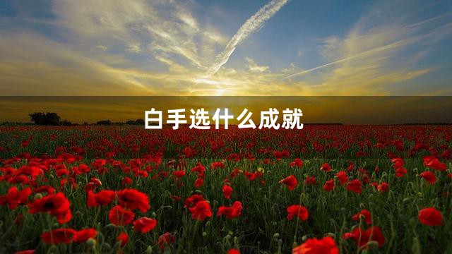 白手选什么成就