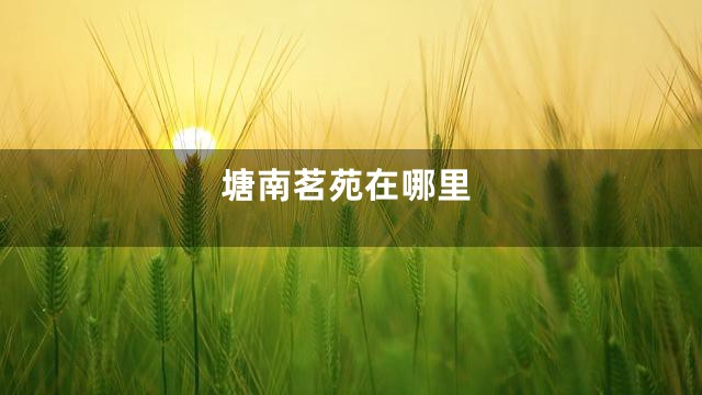 塘南茗苑在哪里