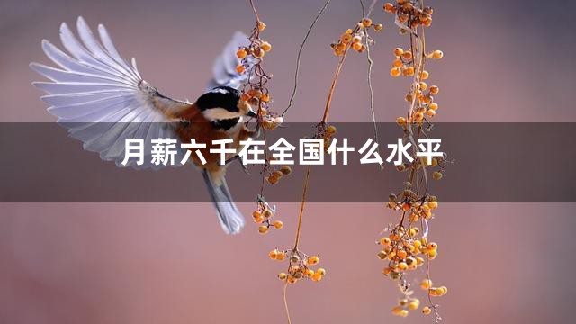 月薪六千在全国什么水平