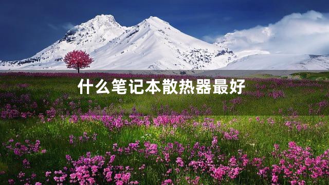 什么笔记本散热器最好