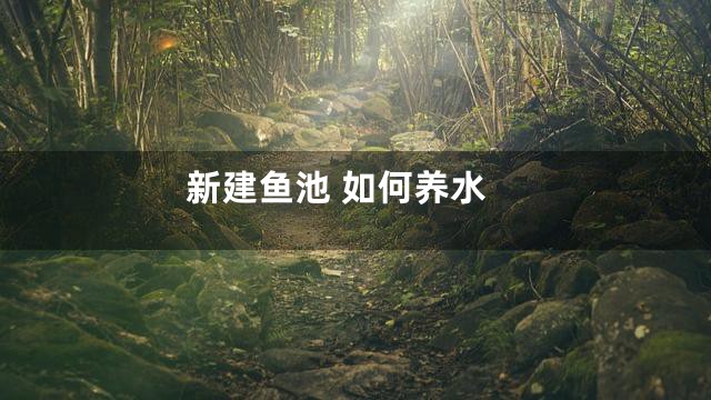 新建鱼池 如何养水