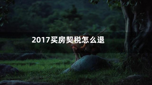 2017买房契税怎么退