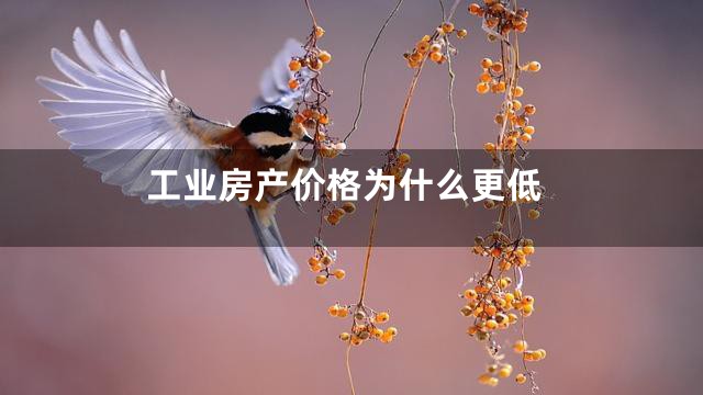 工业房产价格为什么更低