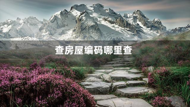 查房屋编码哪里查