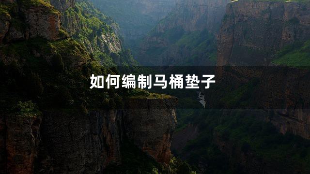 如何编制马桶垫子