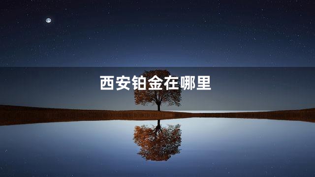 西安铂金在哪里