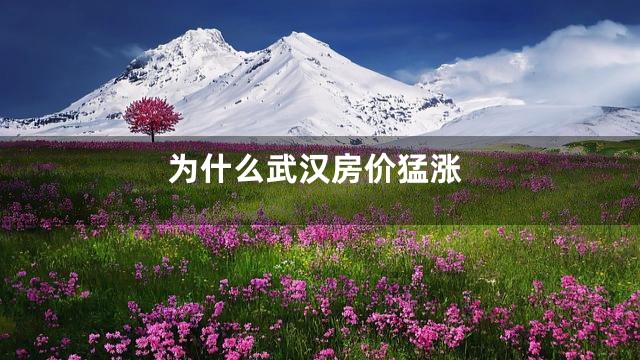 为什么武汉房价猛涨