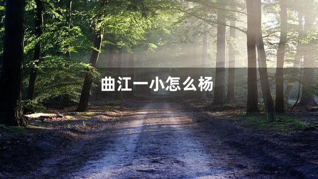 曲江一小怎么杨