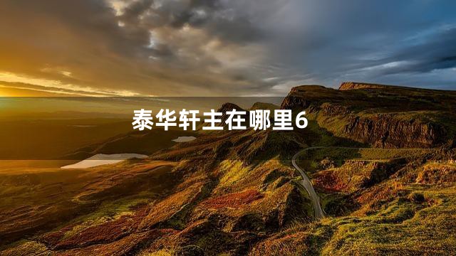 泰华轩主在哪里6