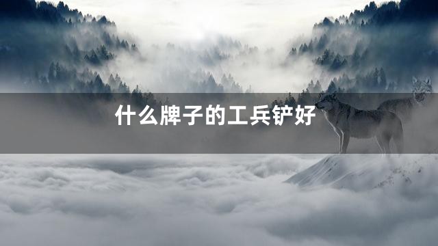 什么牌子的工兵铲好