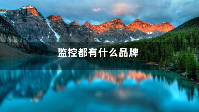 监控都有什么品牌