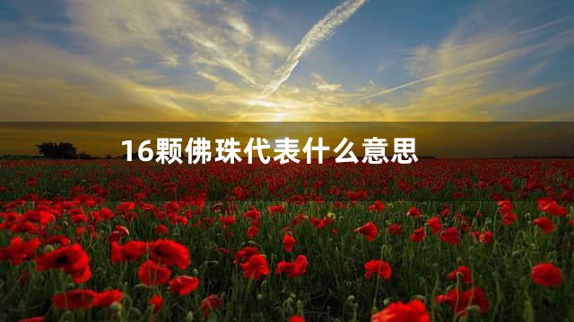 16颗佛珠代表什么意思