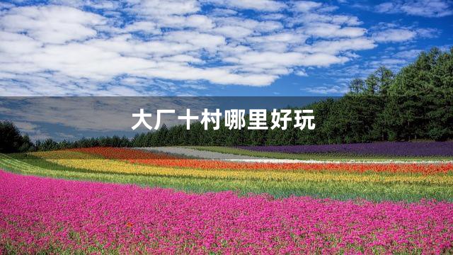 大厂十村哪里好玩