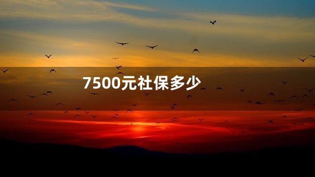 7500元社保多少