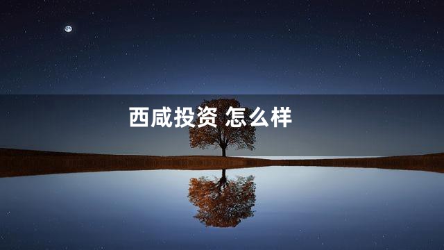 西咸投资 怎么样