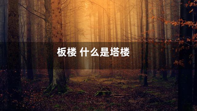 板楼 什么是塔楼