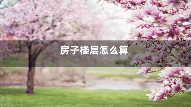 房子楼层怎么算