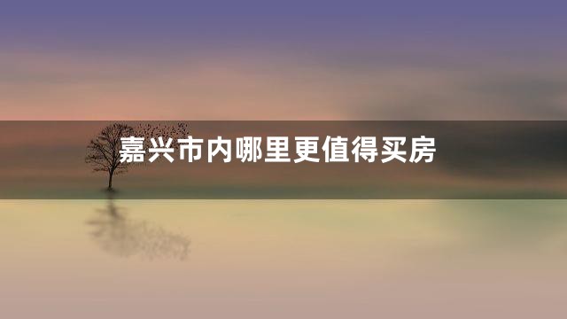 嘉兴市内哪里更值得买房