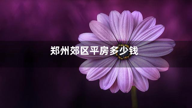 郑州郊区平房多少钱