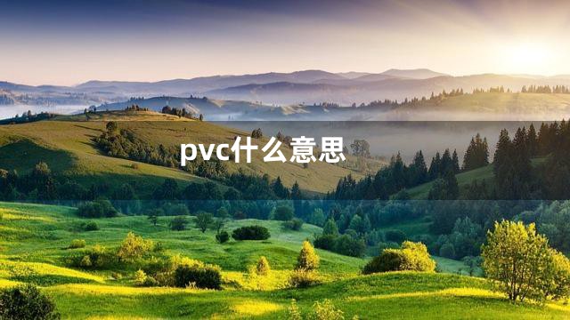 pvc什么意思