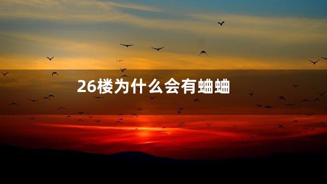 26楼为什么会有蛐蛐