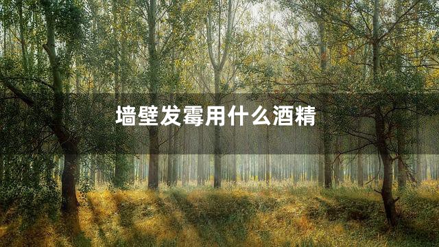 墙壁发霉用什么酒精