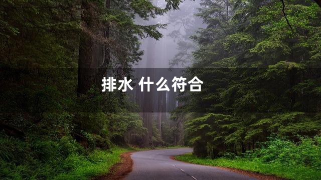 排水 什么符合