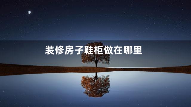 装修房子鞋柜做在哪里