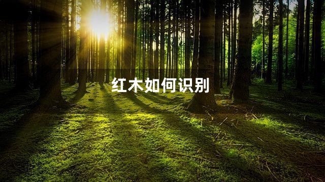 红木如何识别