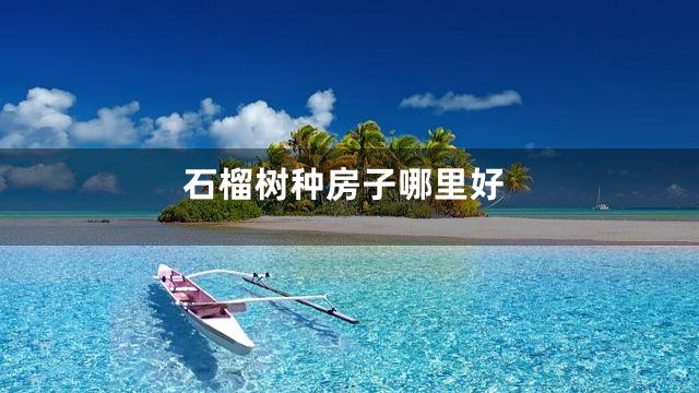 石榴树种房子哪里好