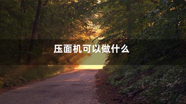 压面机可以做什么