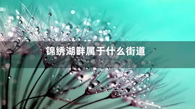 锦绣湖畔属于什么街道