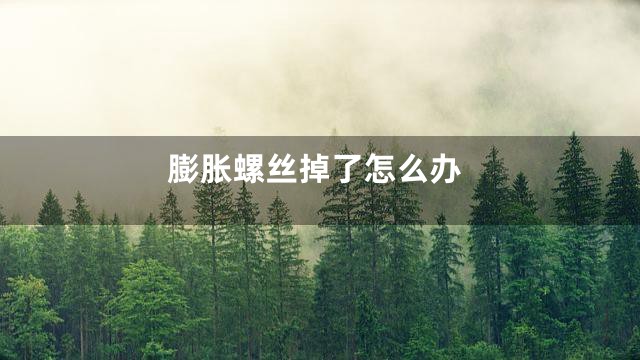 膨胀螺丝掉了怎么办