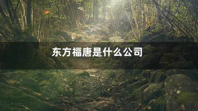 东方福唐是什么公司