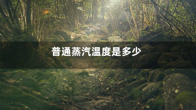 普通蒸汽温度是多少