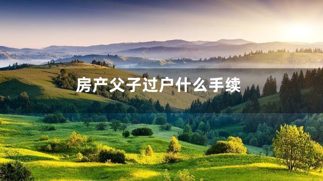 房产父子过户什么手续