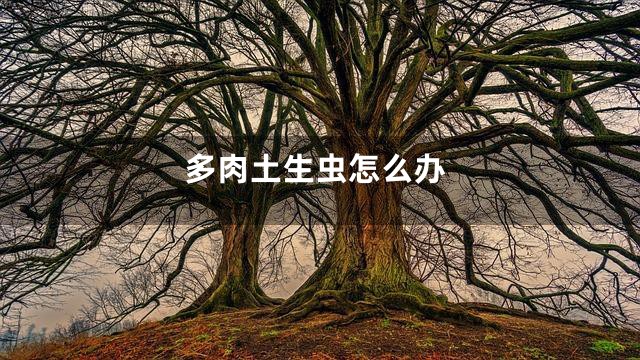 多肉土生虫怎么办