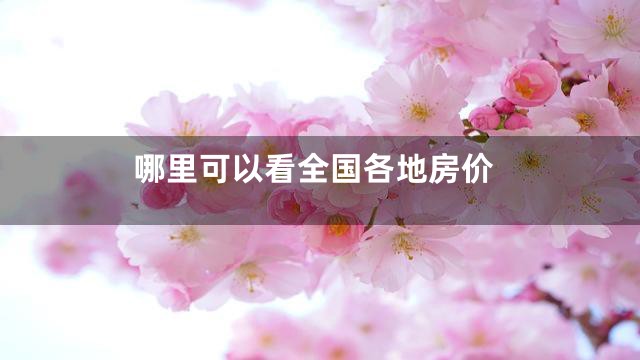 哪里可以看全国各地房价