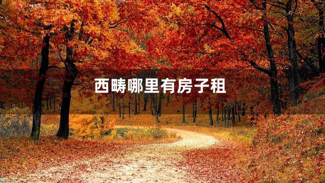 西畴哪里有房子租