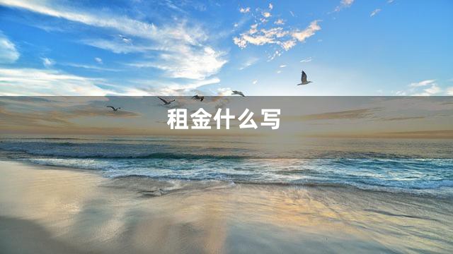 租金什么写