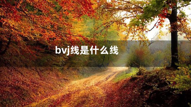 bvj线是什么线