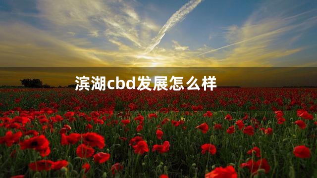 滨湖cbd发展怎么样