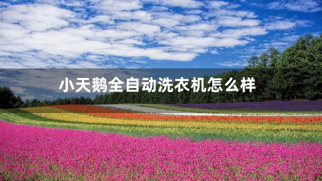 小天鹅全自动洗衣机怎么样