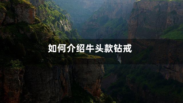 如何介绍牛头款钻戒