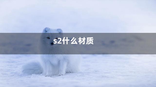 s2什么材质