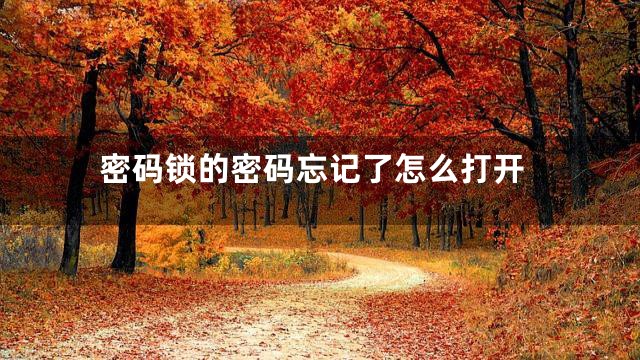 密码锁的密码忘记了怎么打开