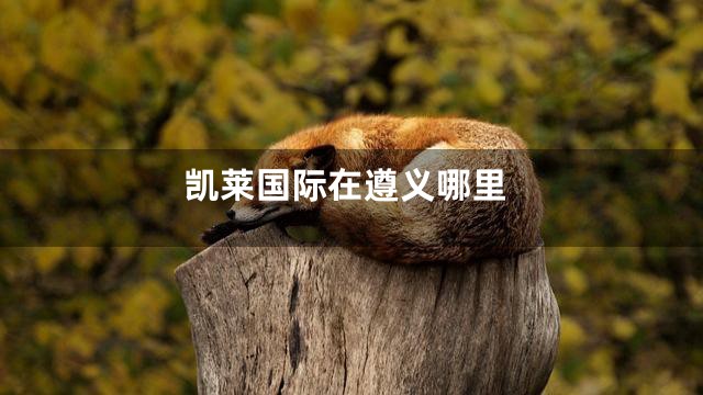 凯莱国际在遵义哪里